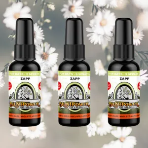 Zapp Spray Air Freshener Bundle (3 Pack)